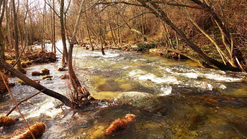 Nacimiento del río Manzanares