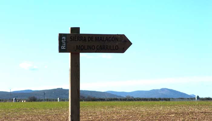 Sierra de Malagón Molino Carrillo