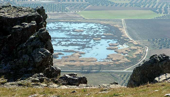 Nava pequeña de Malagón