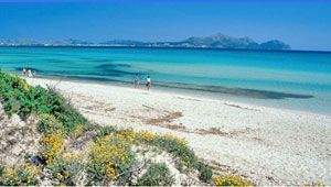 Playa del Muro Mallorca