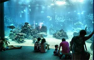 Oceanográfico de Lisboa
