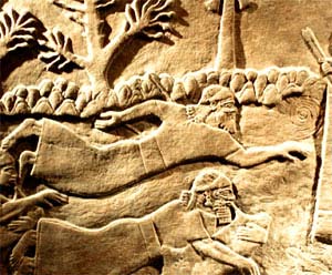 Buceadores Asurbanipal II 800 a.C