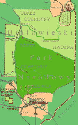 Mapa bosque Bialowieski