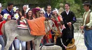 Burro taxi