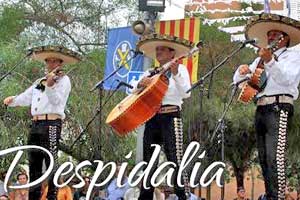 Mariachis y Boys