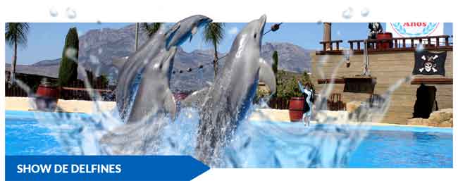 Show delfines Mundomar Show delfines Mundomar
