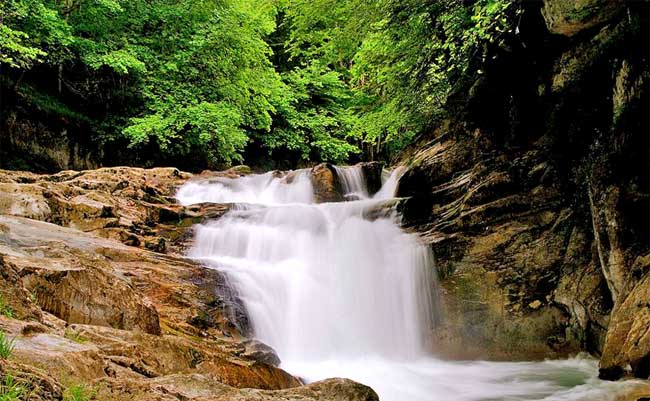 La Selva de Irati, Navarra