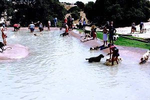 Piscina Campus perruno
