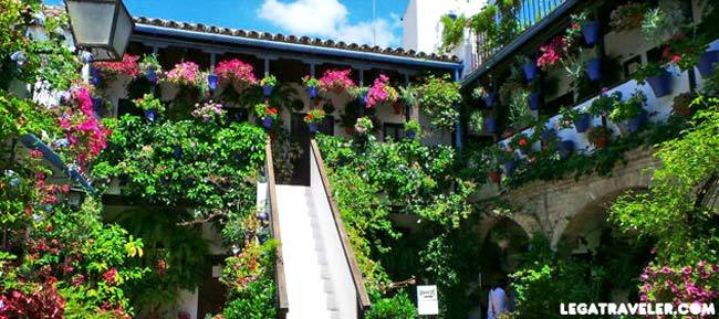 Festival de los patios cordobeses