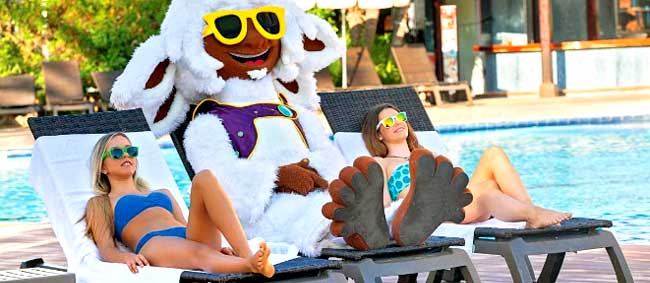 Sol Katmandu Park & Resort