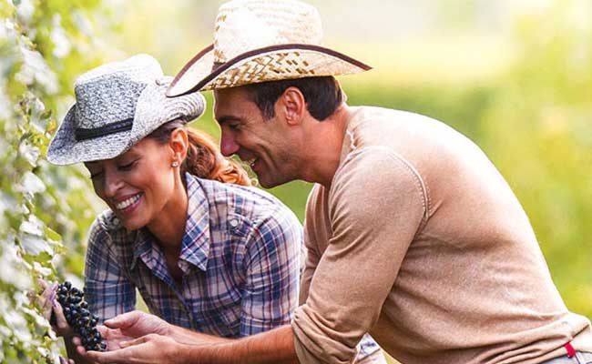 Enoturismo: escapadas enológicas en fin de semana