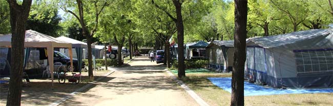 Alquiler de parcelas en camping