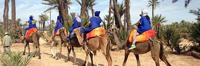 El Palmeral Marrakech El Palmeral Marrakech