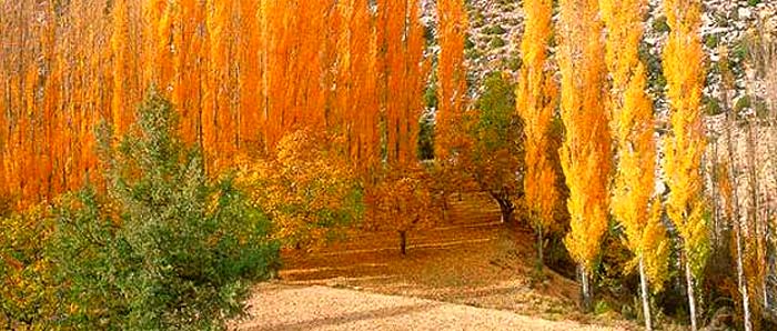 Moratalla Murcia