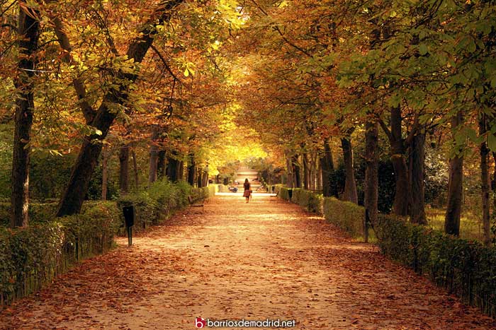 Parque del Retiro en Otoño