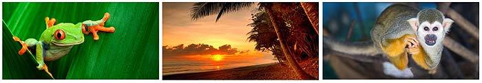 Viajes a Costa Rica