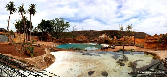 Cocodrilo Park