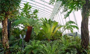 Sky Garden Walkie Talkie