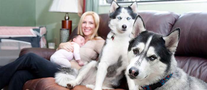 Apartamentos que aceptan mascotas