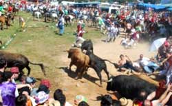 La Saca Fiestas de Sanjuan Soria