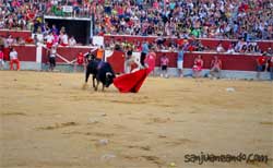 Toros Sanjuan Soria