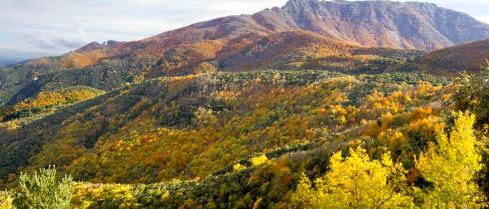 Parque Natural del Montseny