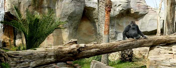 Bioparc Fuengirola Bioparc Fuengirola