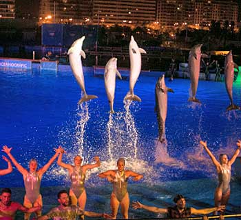 Noches de Oceanogràfic