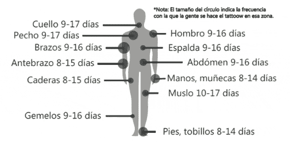 Cuánto duran los tatuajes Cuánto duran los tatuajes