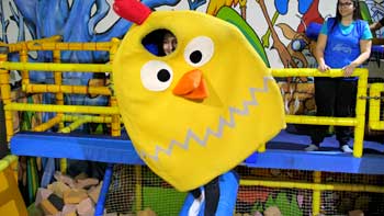 Lucha de pollos