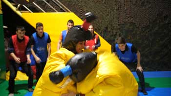 Lucha de sumo