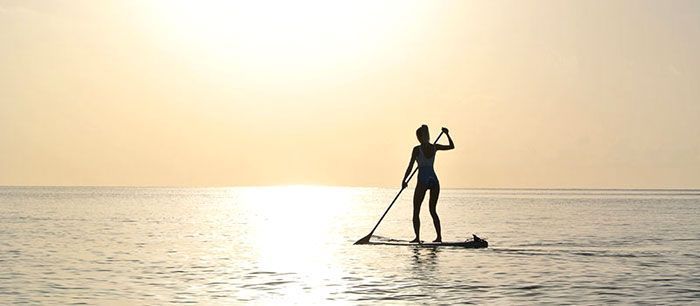 Paddle Surf Paddle Surf