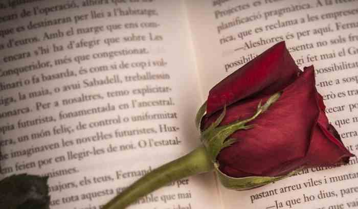 Día de la rosa y el libro
