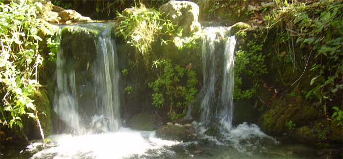 Ruta cabecera del río Vinalopó en Alicante