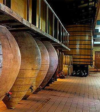 Bodegas PradoRey