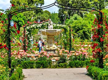 Rosaleda Parque del Retiro