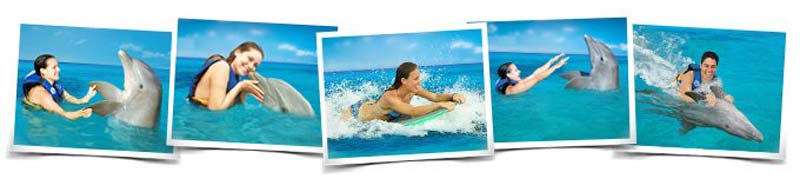 Nadar con delfines Vallarta