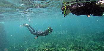 Snorkel en Illes Medes