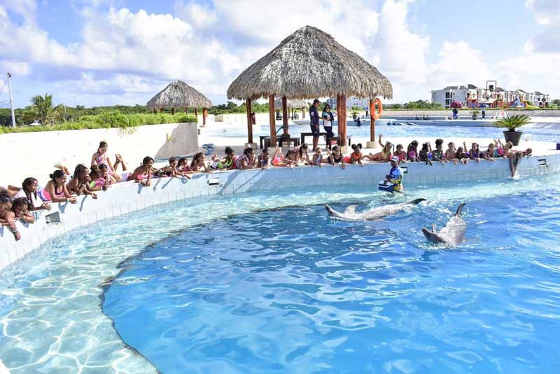 Habitat Dolphin Discovery Punta Cana