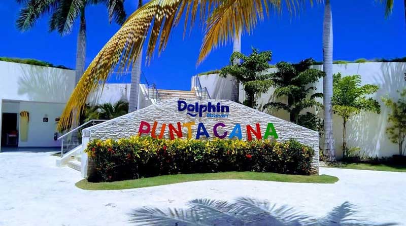 Nada con delfines Punta Cana
