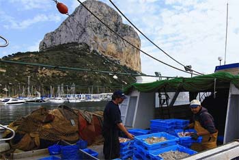 Turismo pesquero Calpe