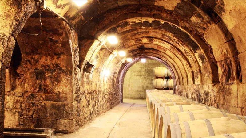 Bodegas Rioja Alavesa