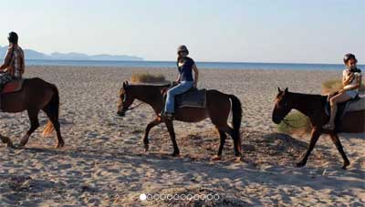 Paseos a caballo por Mallorca