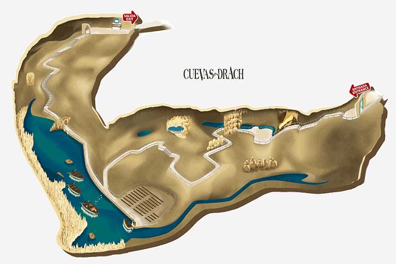 Visita a las cuevas del Drach
