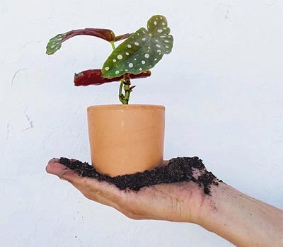 Macetas pequeñas de barro