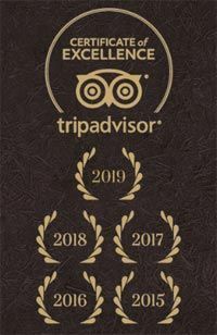 Opiniones Paseos Toledo Mágico