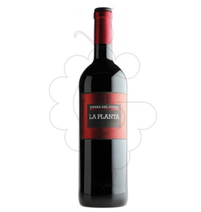 Vinos Ribera Del Duero