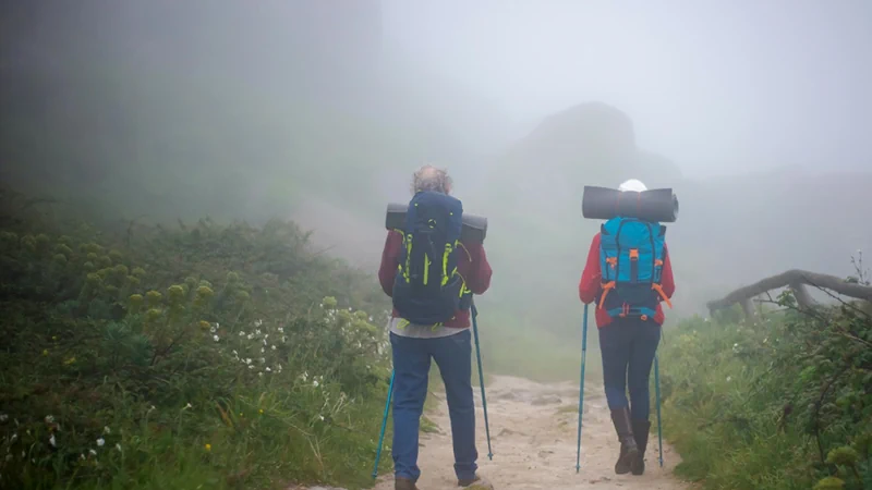 Camino de Santiago desde Sarria