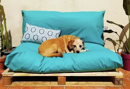 Cojines para mascotas